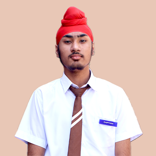 Blue House Captain